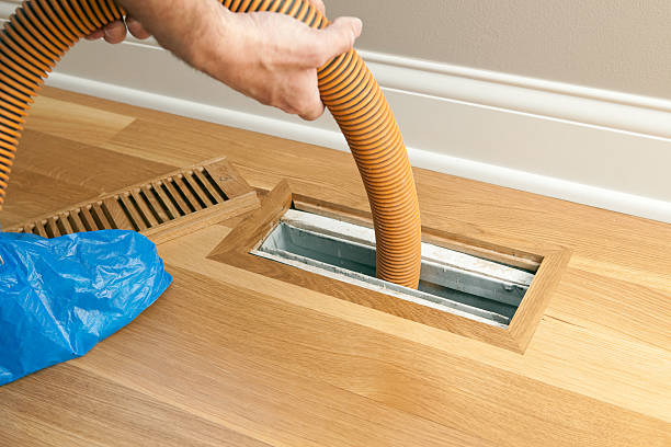 Air Duct Mold Removal in Plymouth, MI