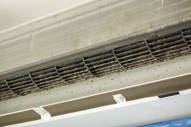 Best Air Duct Mold Removal  in Plymouth, MI